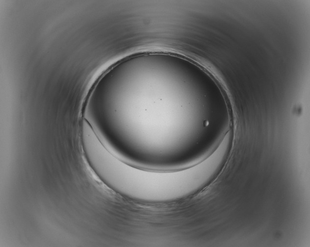 X0000113061388200909110904