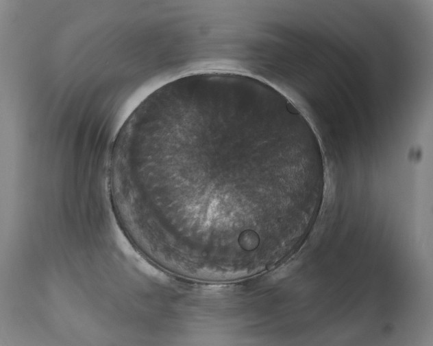 X0000113061390200909110904