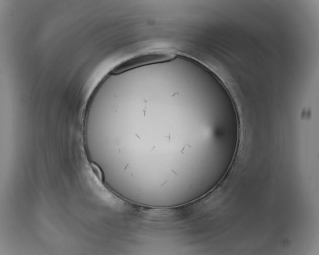 X0000113061392200909110903