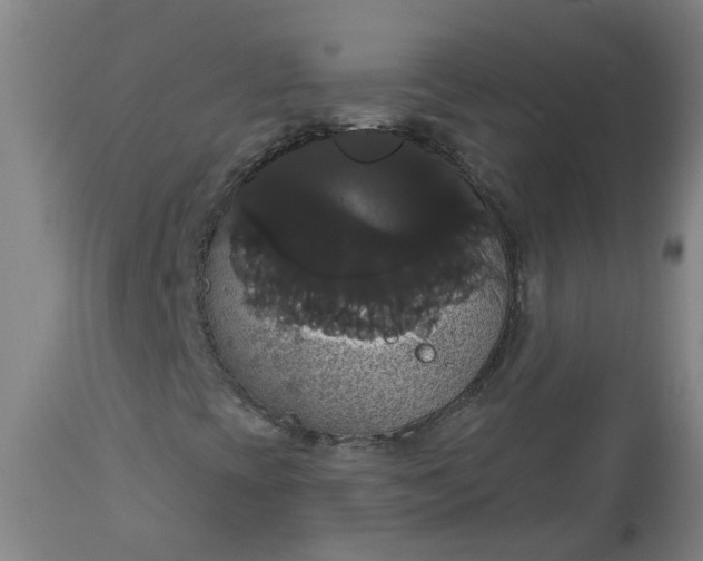 X0000113061393200909110903