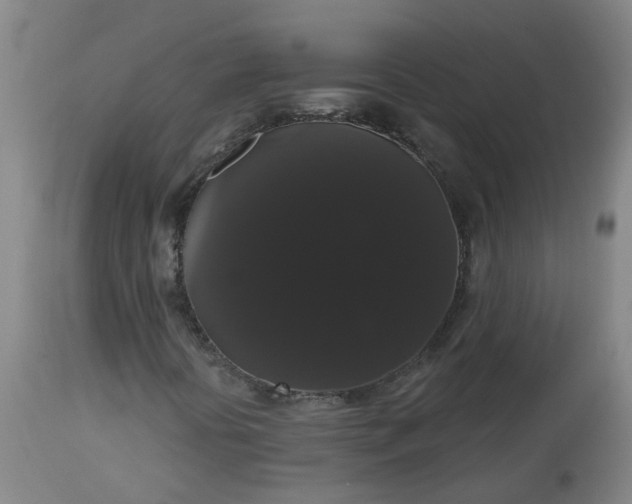 X0000113061394200909110903