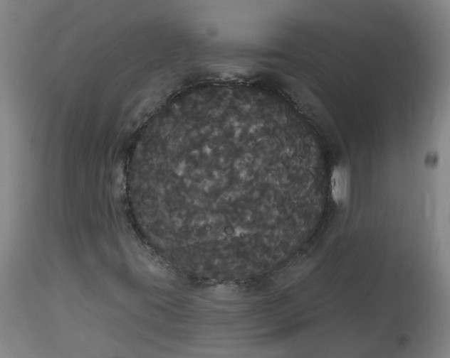 X0000113061395200909110903