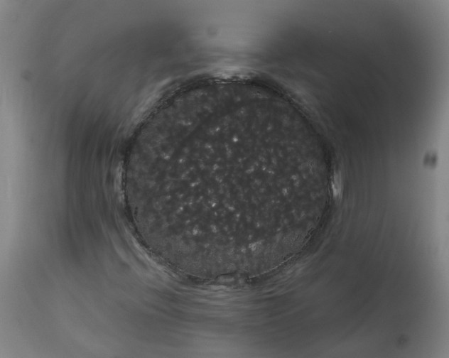 X0000113061396200909110903
