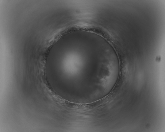 X0000113061397200909110903