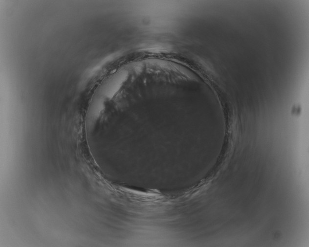 X0000113061398200909110903