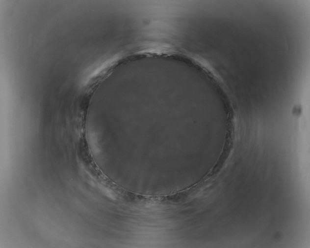 X0000113061399200909110903