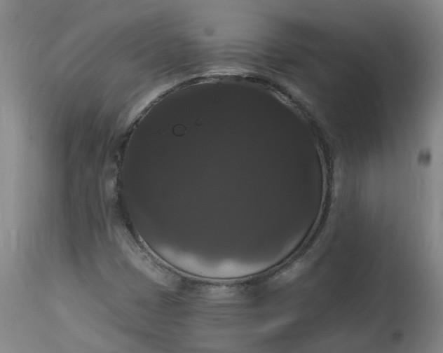 X0000113061401200909110903