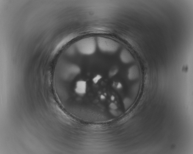 X0000113061402200909110903
