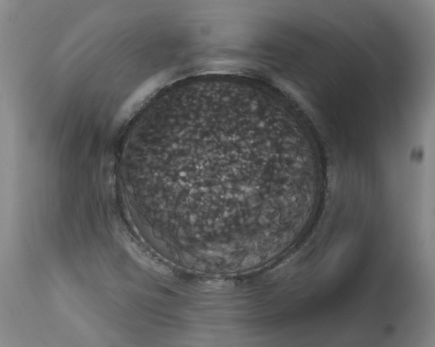 X0000113061403200909110903