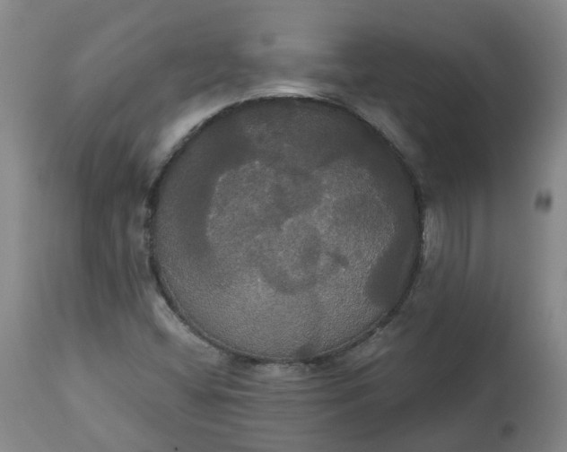 X0000113061404200909110903