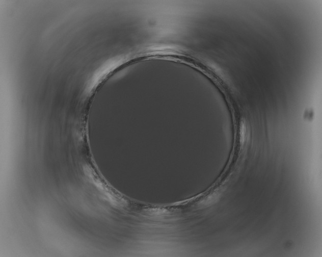X0000113061405200909110903
