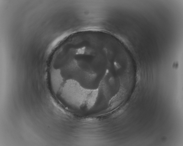 X0000113061406200909110903