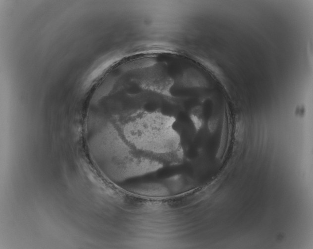 X0000113061407200909110903