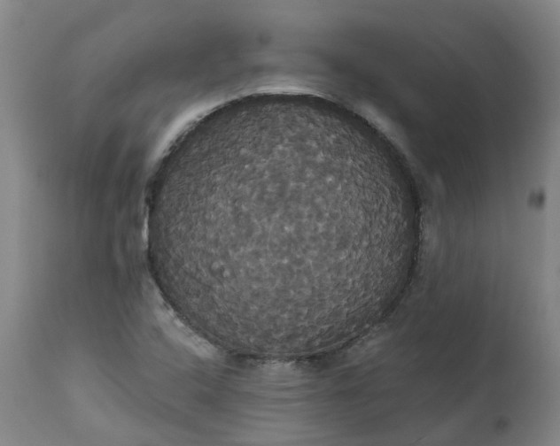 X0000113061408200909110903