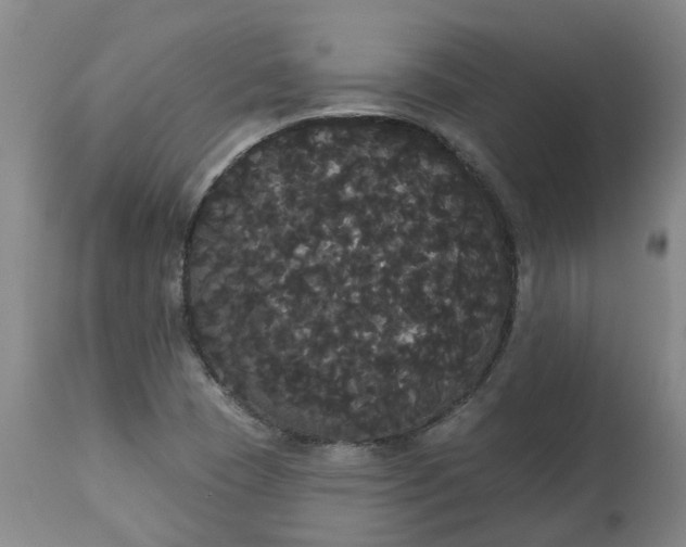 X0000113061409200909110903
