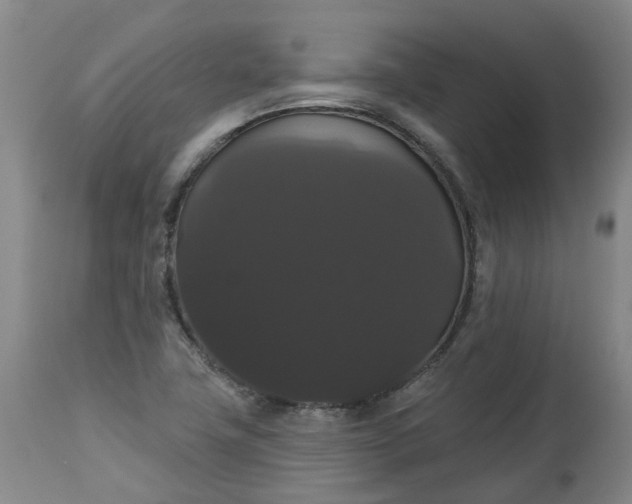 X0000113061411200909110903