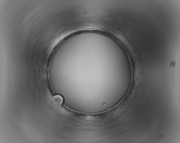 X0000113061412200909110903