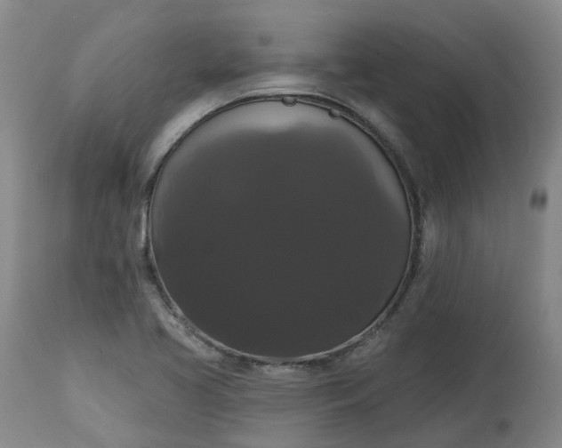 X0000113061413200909110903