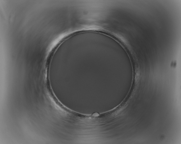 X0000113061414200909110903