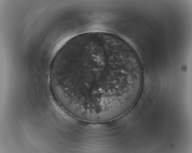 X0000113061415200909110903