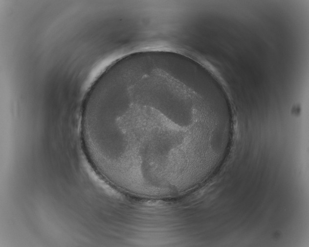 X0000113061416200909110903