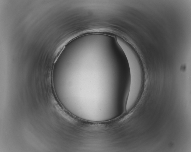 X0000113061417200909110903