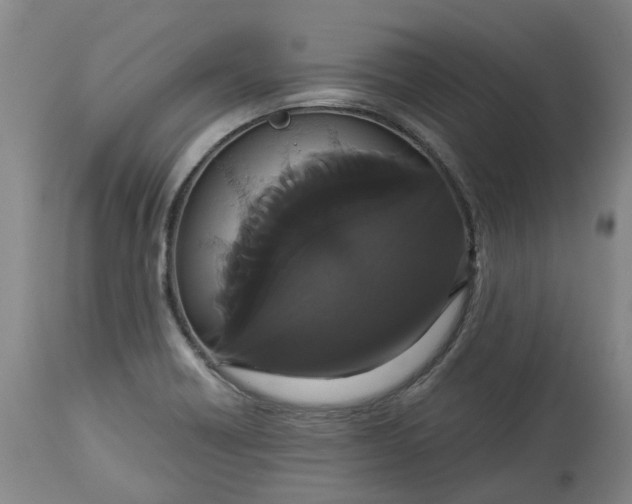 X0000113061418200909110903