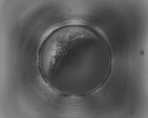X0000113061419200909110903