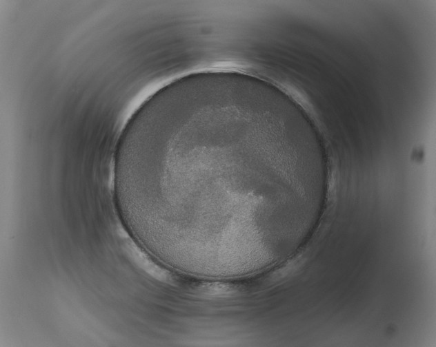X0000113061420200909110903