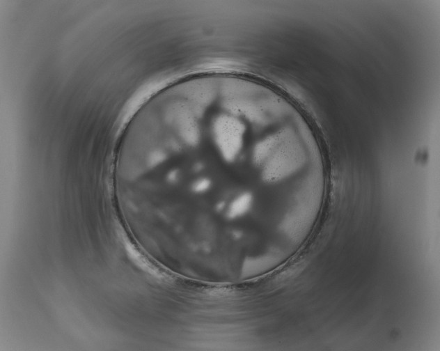 X0000113061421200909110903