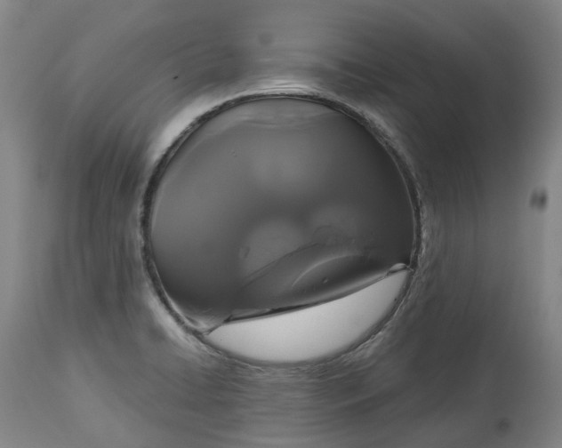 X0000113061422200909110903