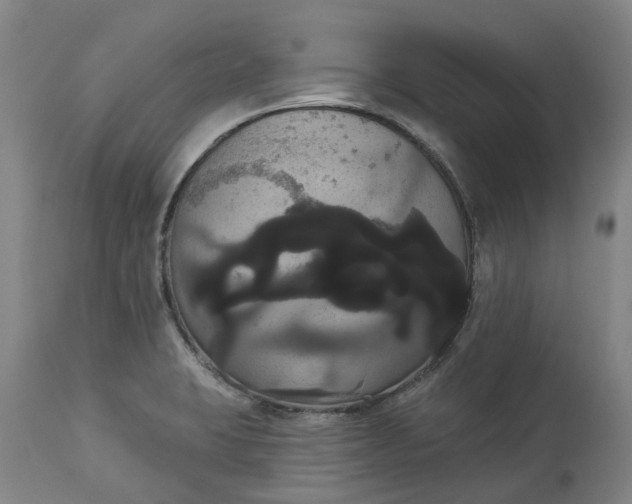 X0000113061423200909110903