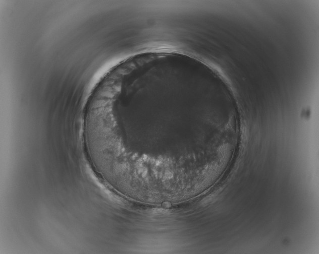 X0000113061424200909110903