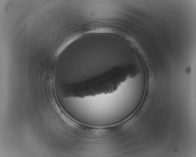 X0000113061425200909110903