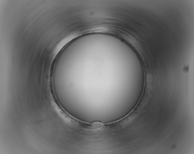 X0000113061426200909110903