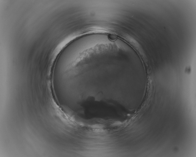 X0000113061427200909110903
