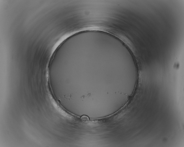X0000113061428200909110903
