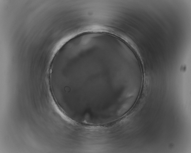 X0000113061429200909110903