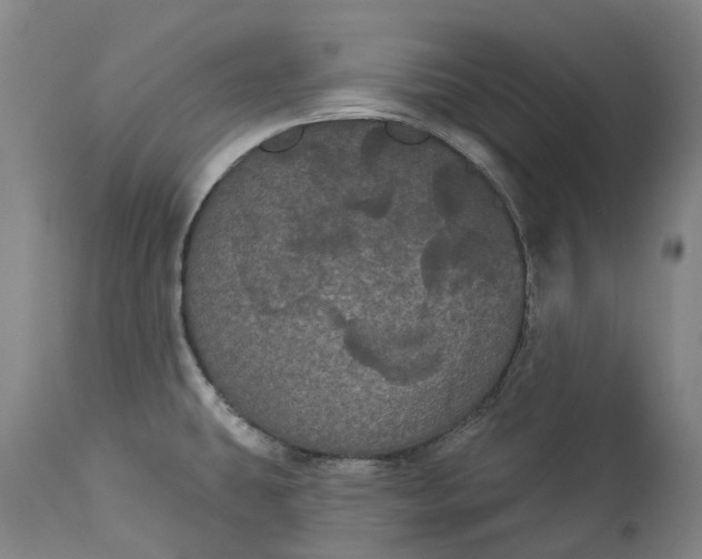 X0000113061431200909110903