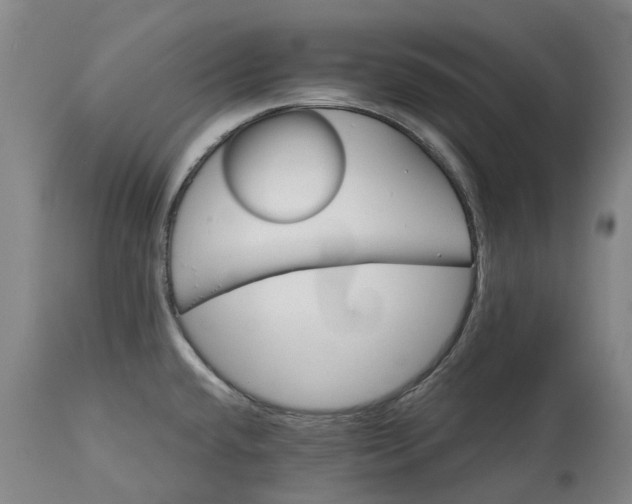 X0000113061432200909110903