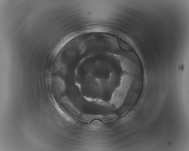 X0000113061433200909110903