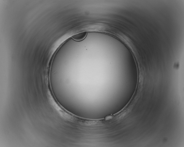 X0000113061434200909110903