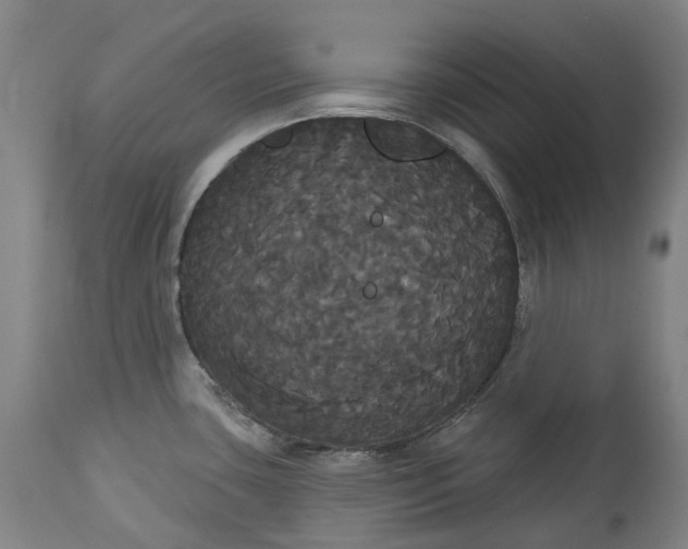 X0000113061435200909110903