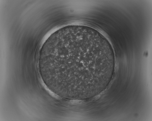 X0000113061437200909110903