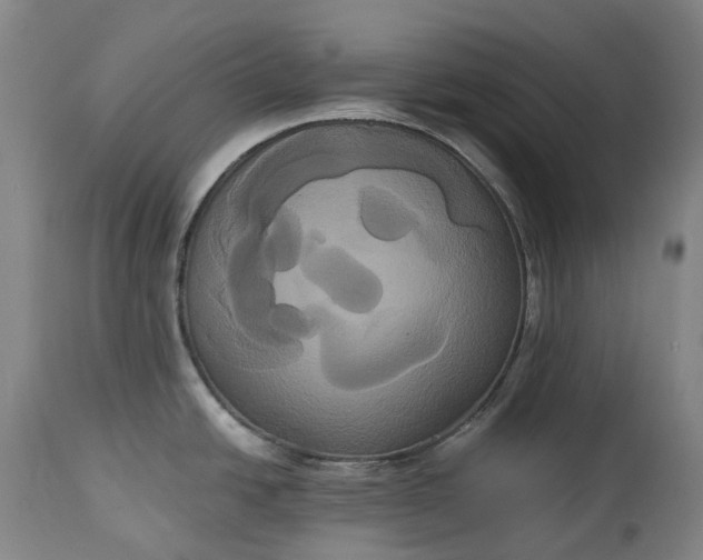 X0000113061438200909110903