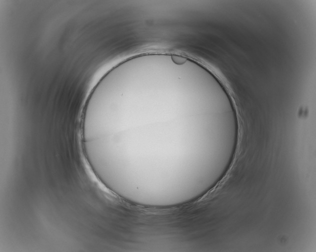 X0000113061440200909110903