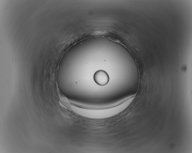 X0000113061441200909110903