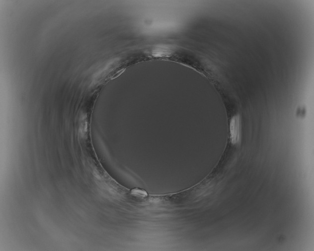 X0000113061443200909110903