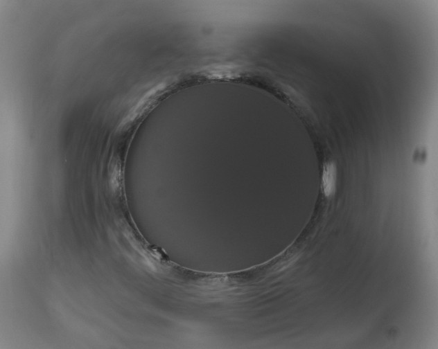 X0000113061444200909110903