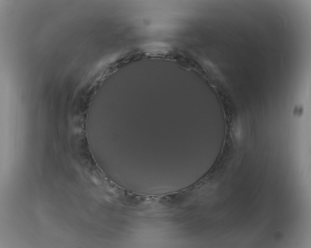 X0000113061445200909110903